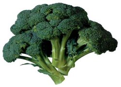 Kanser savacs brokoli